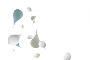 飘落的花瓣免抠素材png