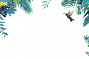 春天边框背景 花草边框 春季