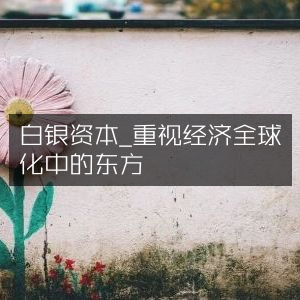 白银资本，洞悉经济全球化下的东方智慧与个人能力提升必读