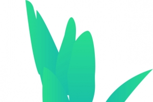 室内绿植盆栽2.5D插画