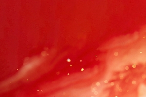 红色背景骏马4K高清竖屏手机壁纸2073x4503免费下载