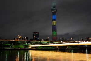 塔 建筑 夜城 建筑 灯光 4k壁纸 3840x2160
