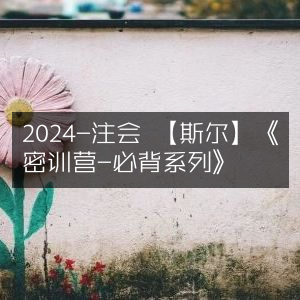 2024注会斯尔《密训营-必背系列》精华版
