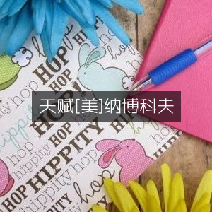 纳博科夫《天赋》，探索家庭生活的深度阅读