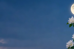 围墙 夜空 月亮 海棠花 3440x1440带鱼屏壁纸