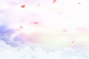 彩云花瓣banner背景