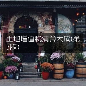 土地增值税清算指南（第三版）大全