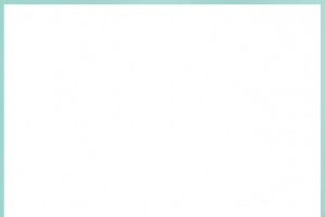 主图框淡绿色促销