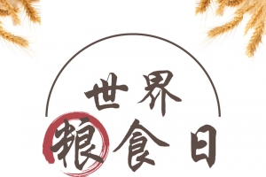 世界粮食日宣传海报