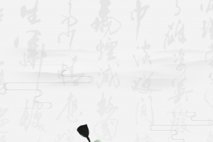 古典中国风禅意文化海报