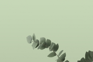 3D场景 背景  空间感 花瓶
