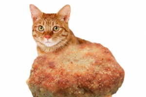 炸鸡猫效果元素