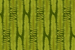 蕨类植物 叶子 纹理 艺术 植物 绿色 4k壁纸 3840x2160
