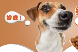 狗粮促销可爱小狗banner