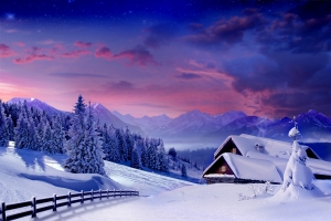 冬天风景,雪景,树木,小屋的图片