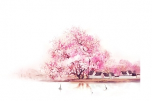 桃花坞里桃花庵