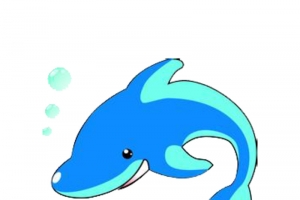 可爱海豚