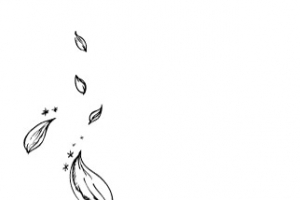 素描荷花