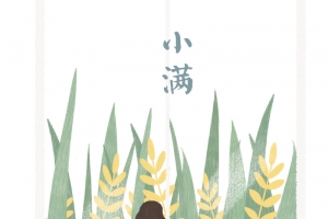 小满手绘植物元素 室内元素