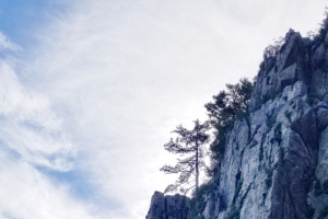 春天 爬山 绿树蓝天松树