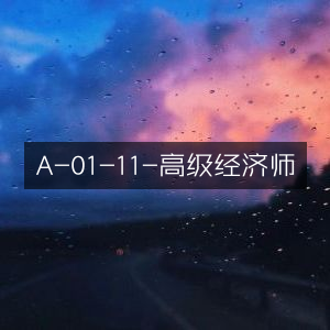 高级经济师 A-01-11 课程