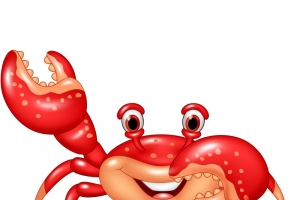 矢量螃蟹免抠PNG