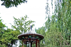 圆明园一角
