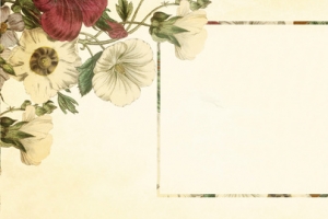 淘宝母亲节首页banner