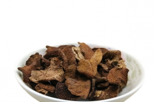 蛇胆陈皮干