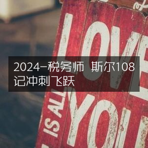 2024税务师备考，斯尔108记冲刺飞跃攻略