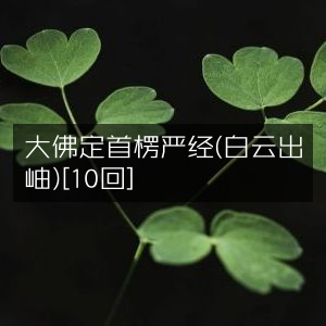 大佛诵念首楞严经（白云出岫）全10回