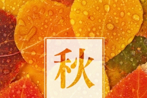 秋分0923PSD分层H5