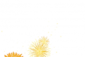 绽放烟花元素高清PNG透明漂浮设计素材免费下载