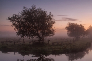 英国赫特福德沼泽地3440x1440风景壁纸