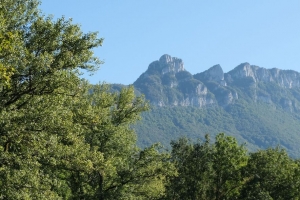 山脉 树木 景观 自然 草地 草地 4k壁纸 3840x2160