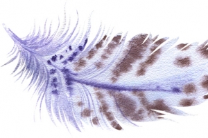 漂浮羽毛