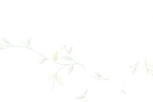 欧美浪漫复古花高清PNG透明情人节设计素材免费下载