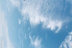 任万万壁纸高清4k手机竖屏2160x3840