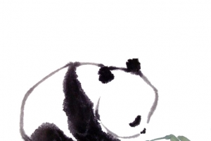 熊猫