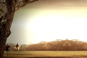 家居促销背景banner