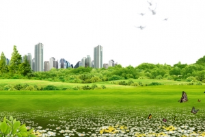 城市绿色草地