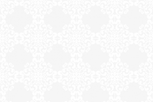 白色蕾丝花纹