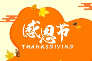 感恩节第三份