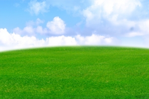草地 白云
