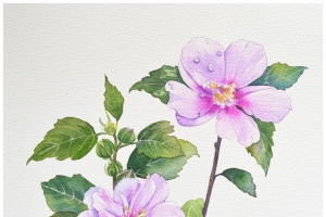 纹理水彩花朵壁纸