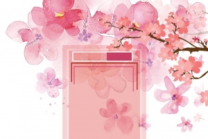 唯美春天醉美樱花节春季旅游