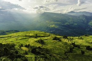 俯视绿色山地海报背景