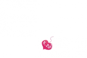 新颖心形520