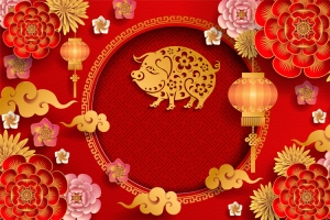 恭贺新春猪年大吉背景