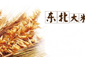 淘宝东北大米海报图片